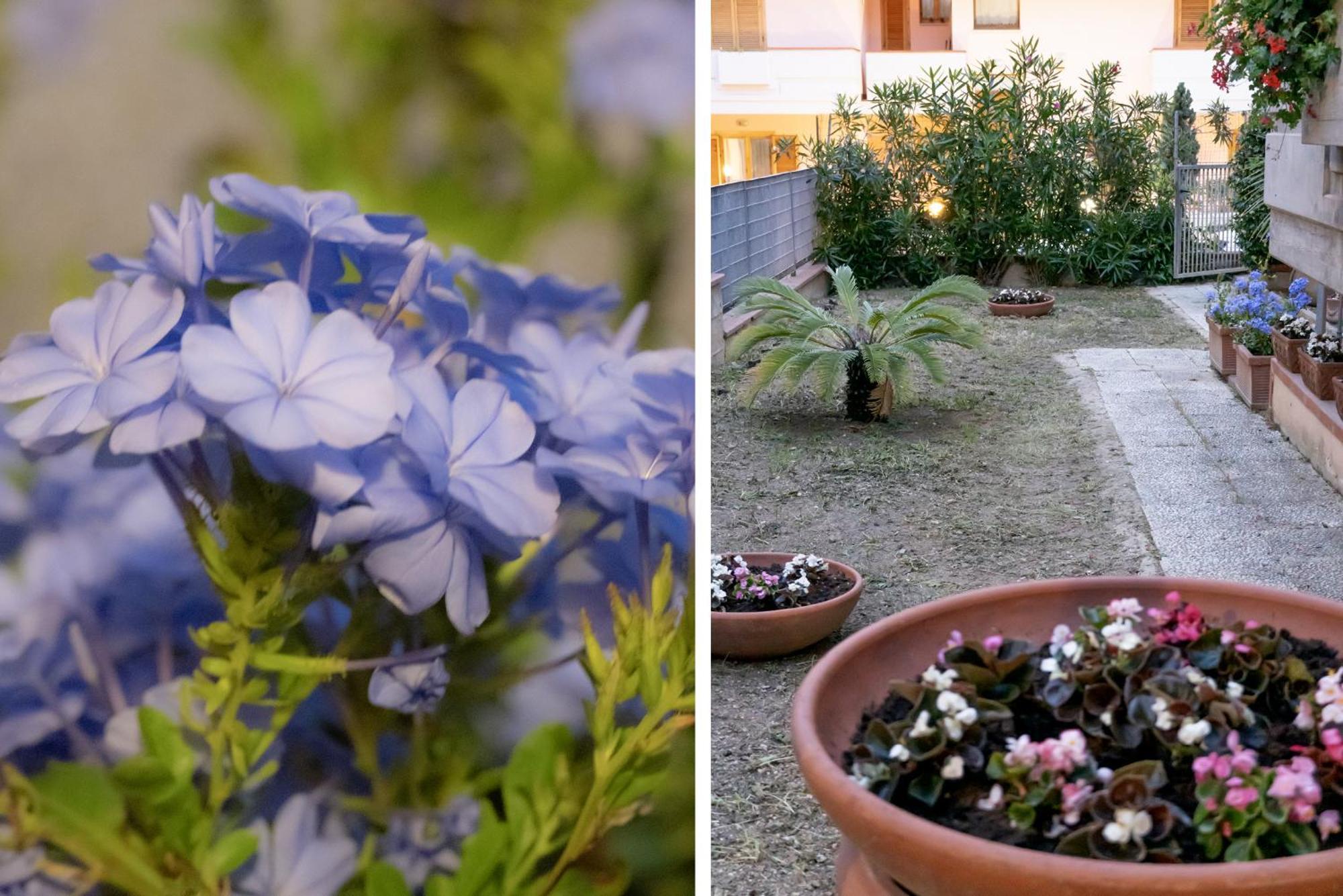 Il Giardino Daire Civitanova Marche Dış mekan fotoğraf
